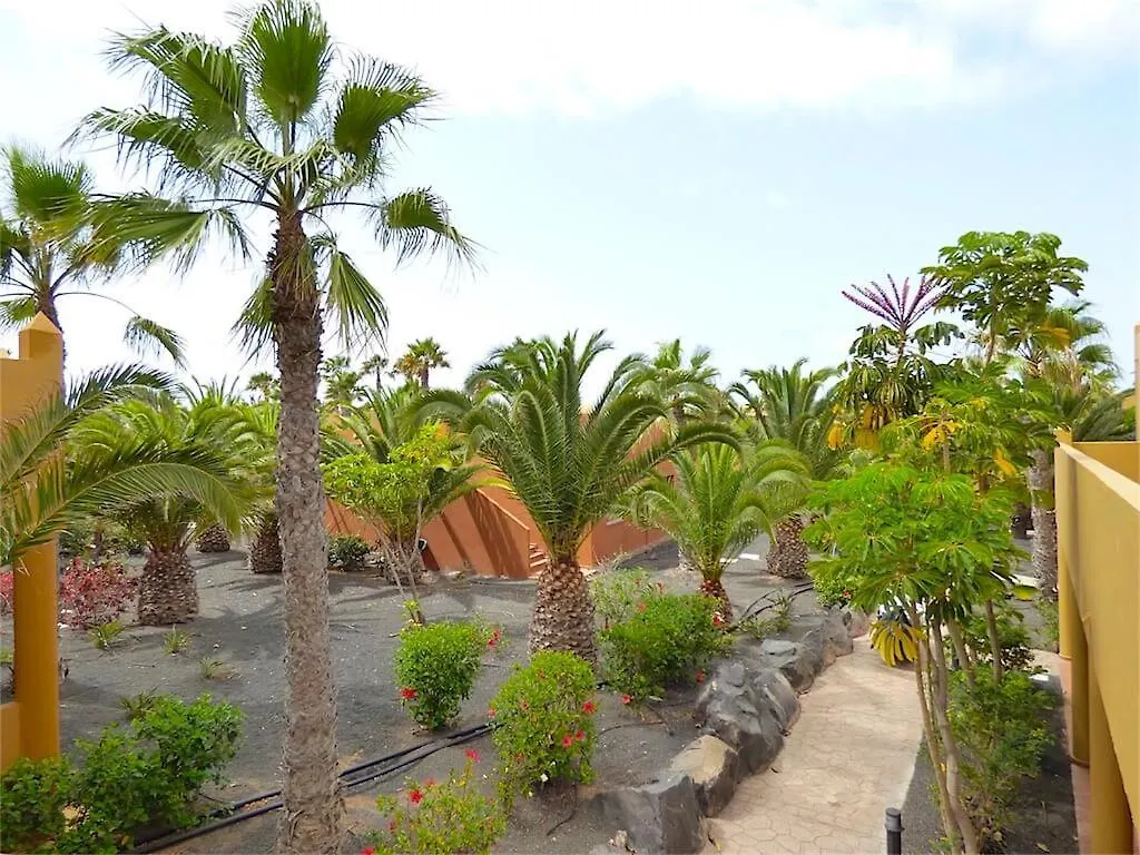 Ferienwohnung Oasis Papagayo Paradise Corralejo Apartment